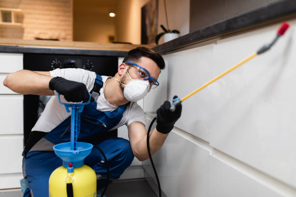Best Local Pest Control Services  in Mondovi, WI