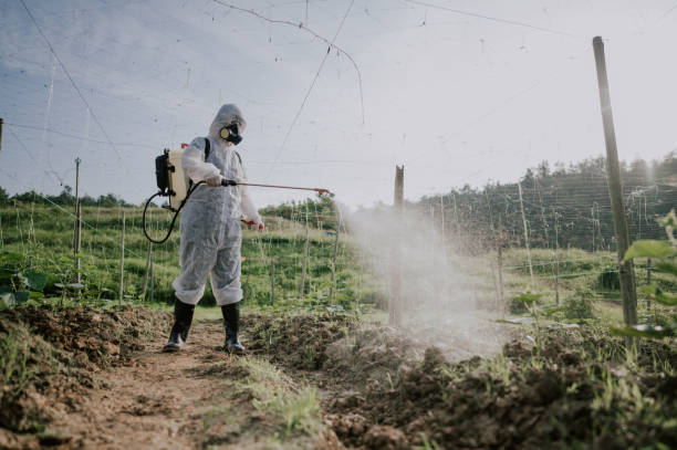 Best Mosquito Control Services  in Mondovi, WI