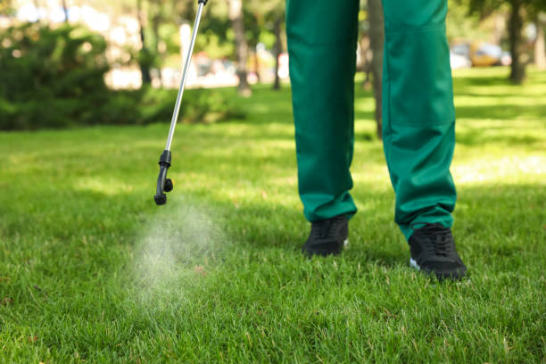 Best Pest Prevention Services  in Mondovi, WI