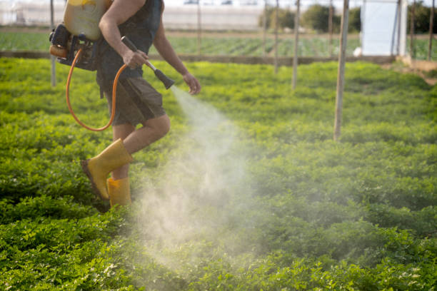 Best Pest Control Near Me in Mondovi, WI
