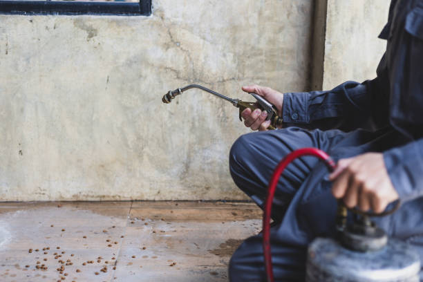 Flea Control Services in Mondovi, WI